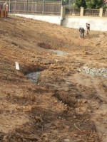 /album/zahrada-ms-thunska/zahrada-thunska-4-jpg/